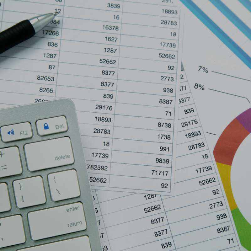 Règim pressupostari i comptabilitat
